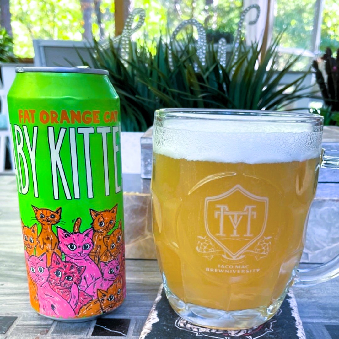 Fat Orange Cat - Baby Kittens New England IPA