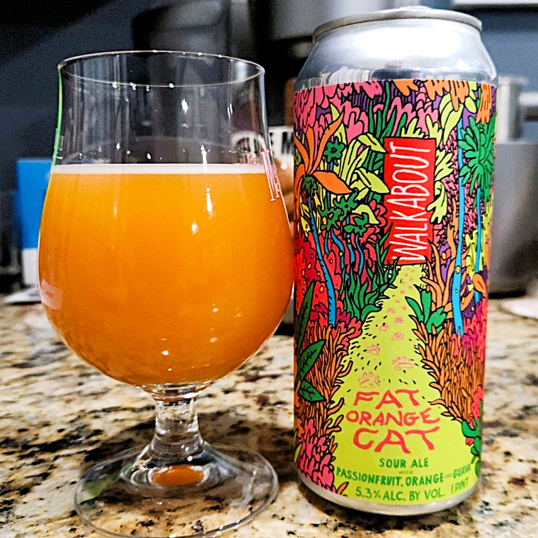 Paks apelsinikass - Walkabout kannatusvilja apelsini-guajaavi puuviljahapu