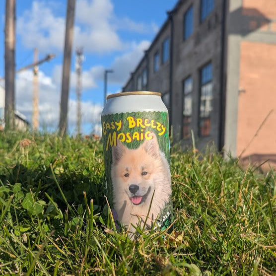 Tuletorn - Easy Breezy Mosaic Pilsner - Brewklyn Exclusive