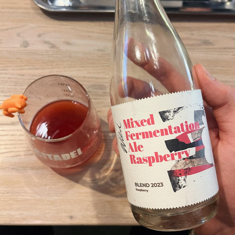 Browar Stu Mostow - WILD #23 Raspberry Mixed Fermentation Ale Wild Ale