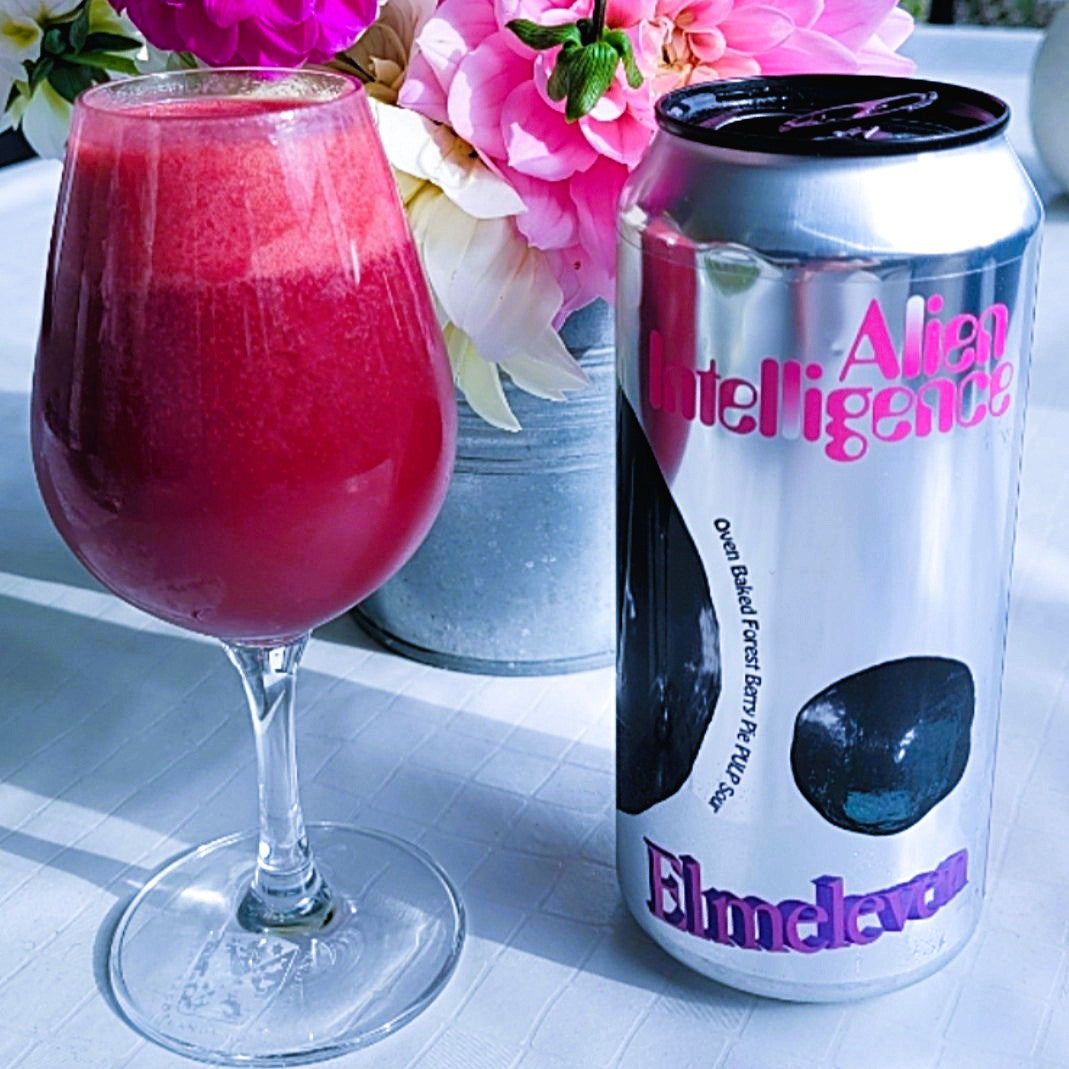 Elmeleven PULP - Alien Intelligence Smoothie Sour - Ahjus küpsetatud metsamarjapirukas