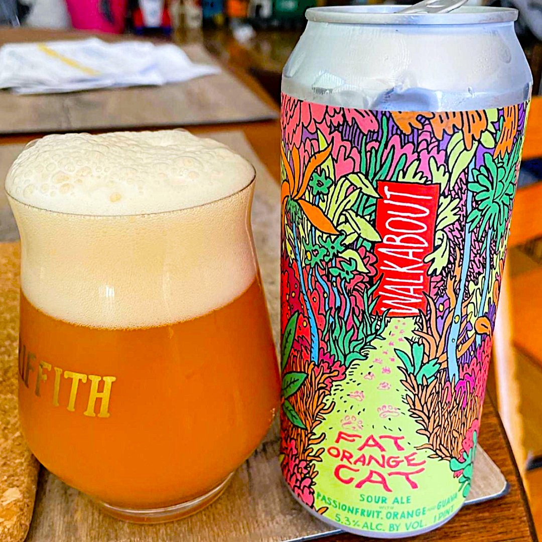 Paks apelsinikass - Walkabout kannatusvilja apelsini-guajaavi puuviljahapu 