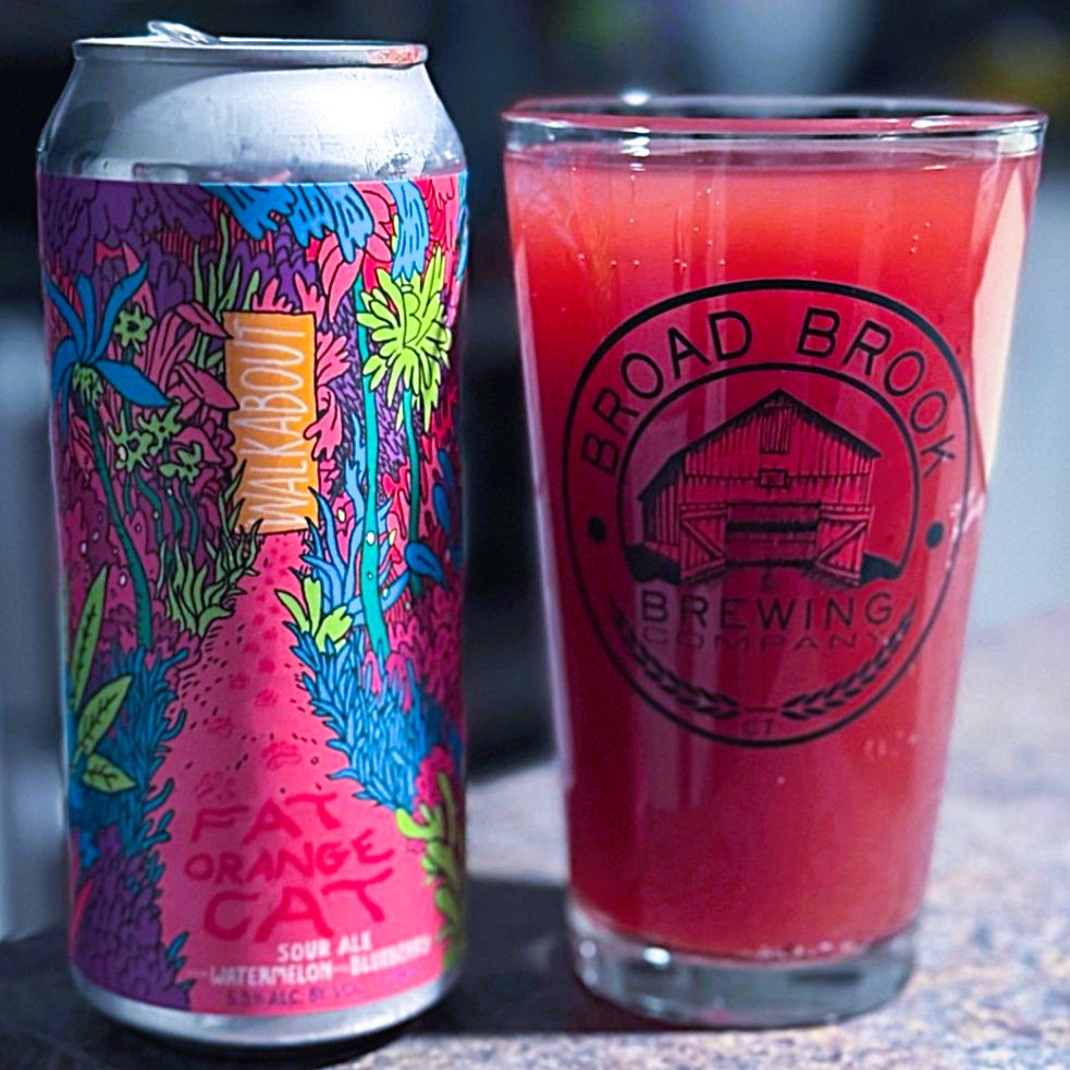 Fat Orange Cat - Walkabout Watermelon Blueberry Fruited Sour