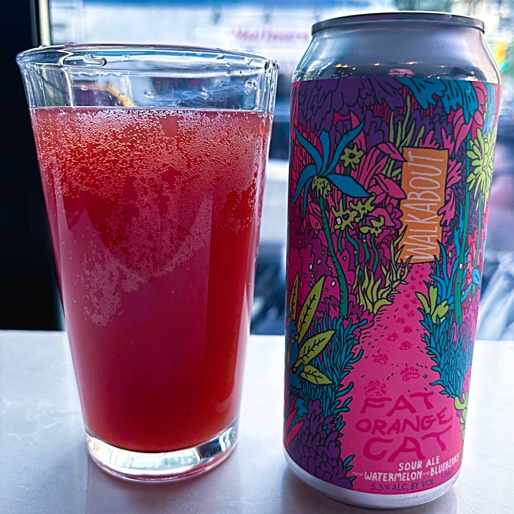 Fat Orange Cat - Walkabout Watermelon Blueberry Fruited Sour