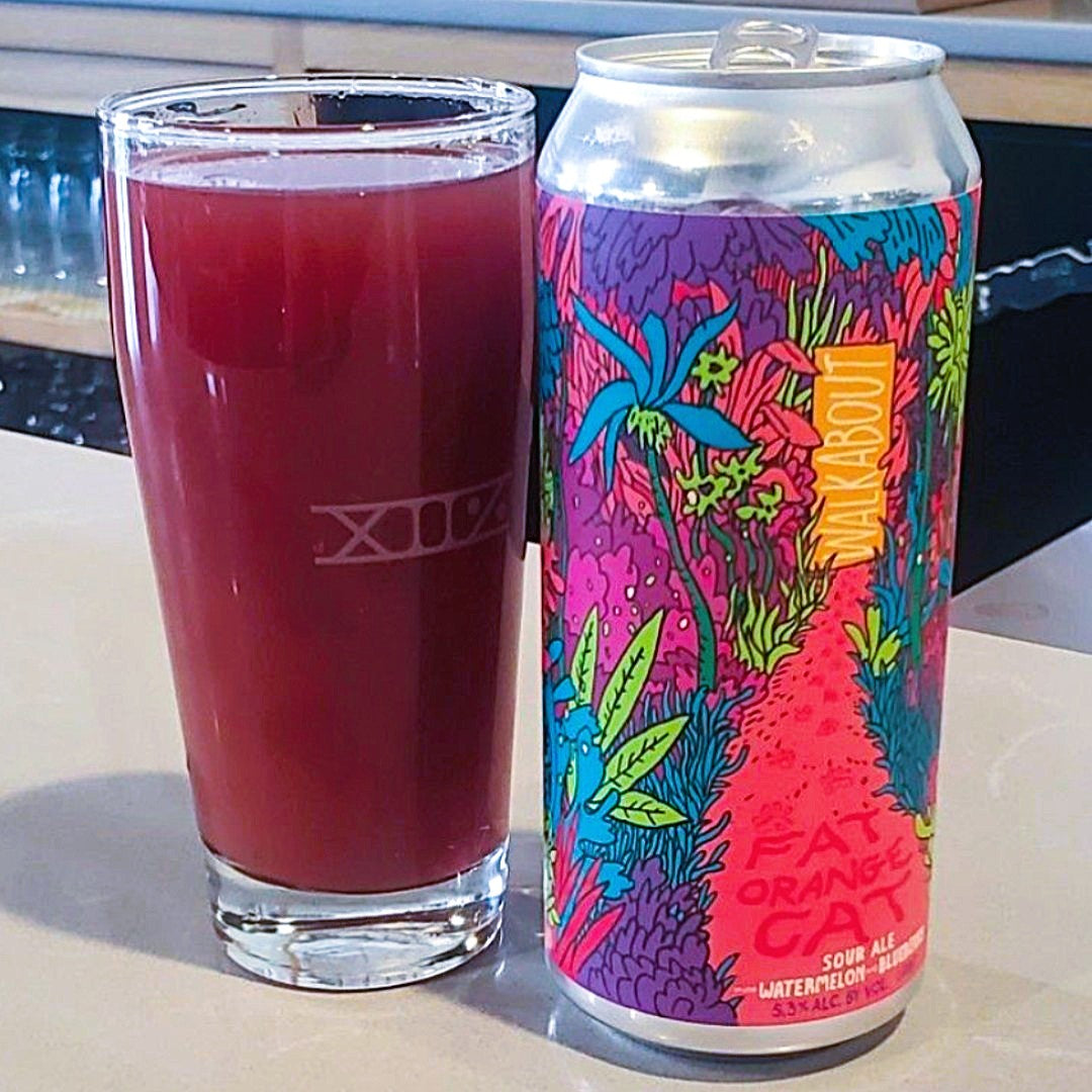 Fat Orange Cat - Walkabout Watermelon Blueberry Fruited Sour