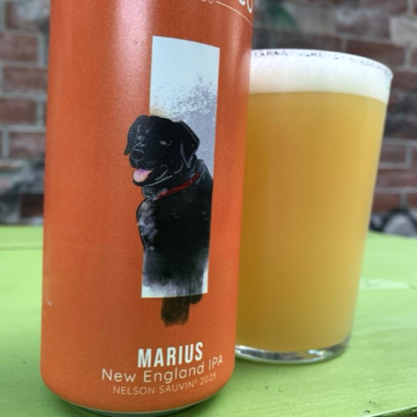 Nano Cinco – Charlot New England IPA